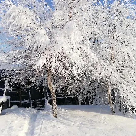 Lili Puhkemaja Kuutsemaeel * Otepää