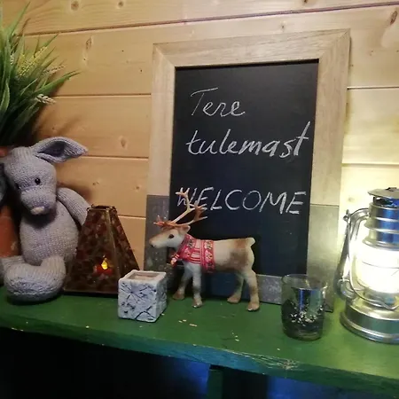 Lili Puhkemaja Kuutsemaeel Prázdninový dům Otepää