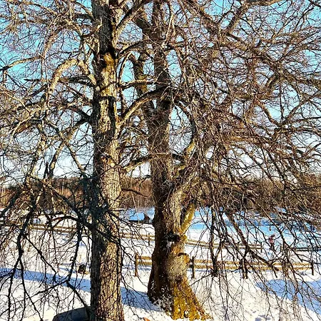 Lili Puhkemaja Kuutsemaeel Feriehus