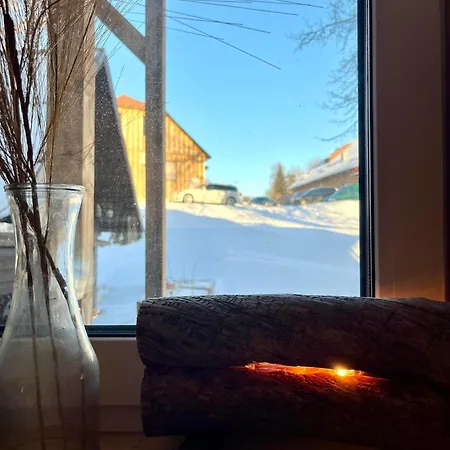 Lili Puhkemaja Kuutsemaeel * Otepää