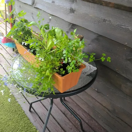 Lili Puhkemaja Kuutsemaeel