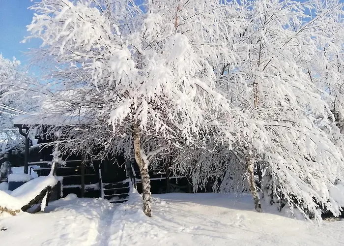 Lili Puhkemaja Kuutsemaeel * Otepää