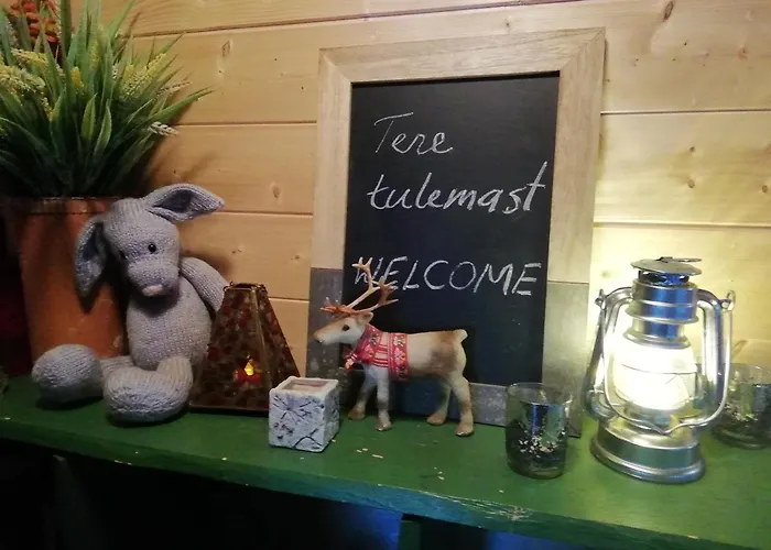 Lili Puhkemaja Kuutsemaeel 度假居 Otepää