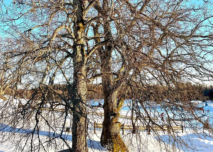 Lili Puhkemaja Kuutsemaeel 度假居